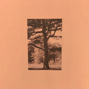 岳洗澡让我进去摸她乳的剧情介绍
